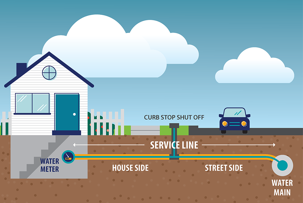 Service Line Graphic Web